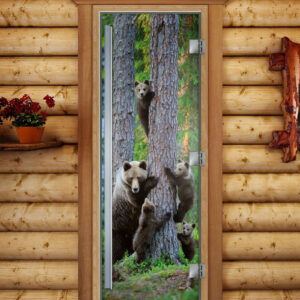 Дверь DoorWood Престиж А064 с фотопечатью, 70х190, коробка ольха