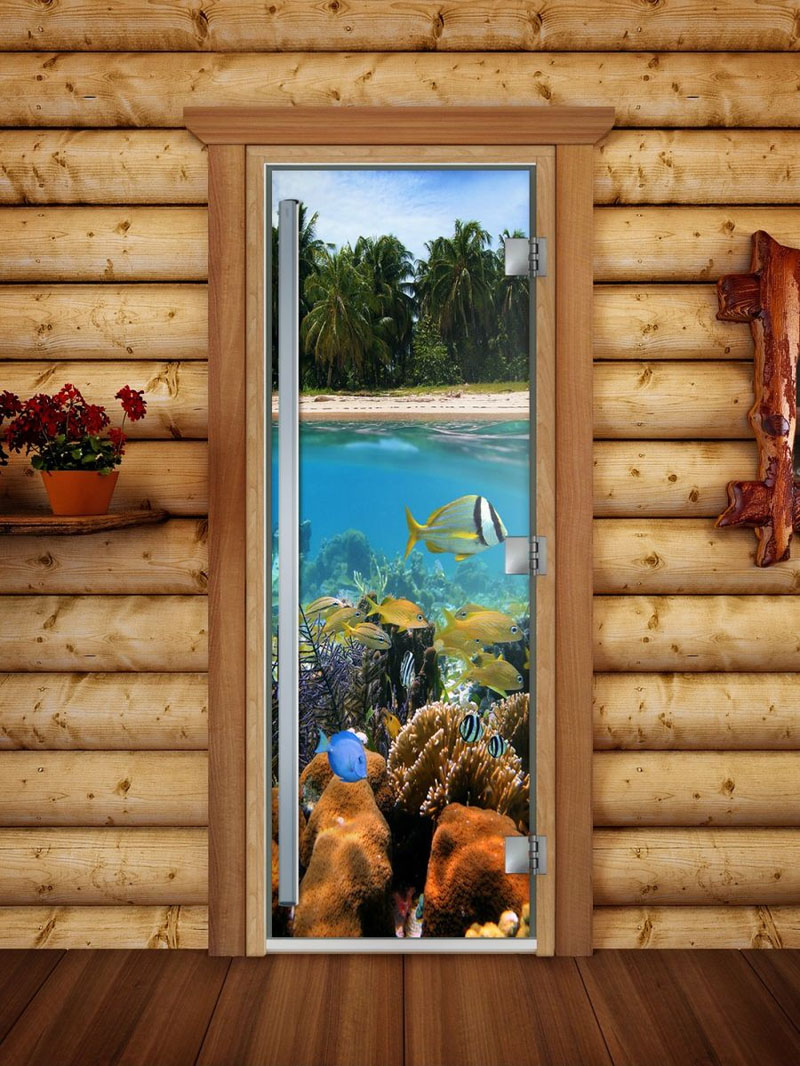 steklyannye-dveri-doorwood-prestizh-s-fotopechatyu-a067-korobka-olkha.jpg