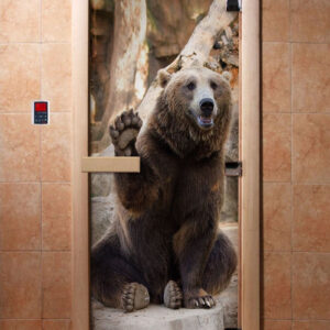 Дверь DoorWood А061 с фотопечатью, 80х200, коробка ольха