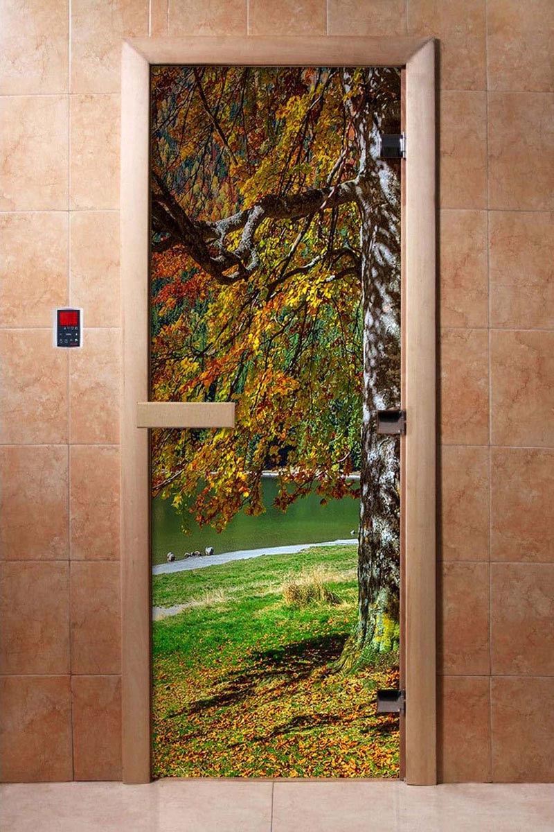 steklyannye-dveri-doorwood-s-fotopechatyu-a089-korobka-olkha.jpg