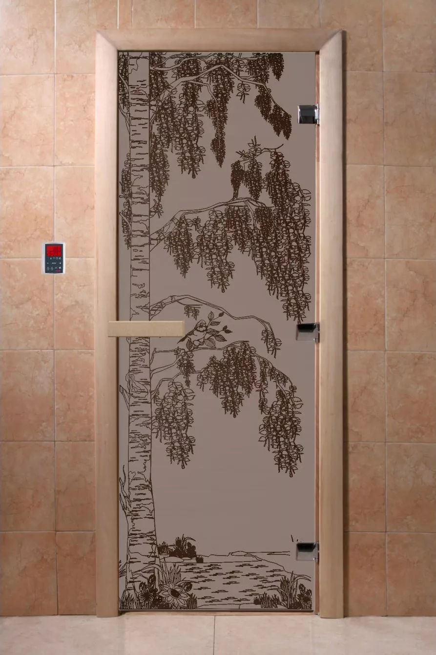 steklyannye-dveri-doorwood-bereza-chernyj-zhemchug-matovaya-korobka-olkha_jpg.webp