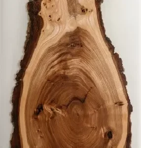 Дверь для сауны DoorWood с фотопечатью CЛЭБ-16, 80х200, коробка ольха